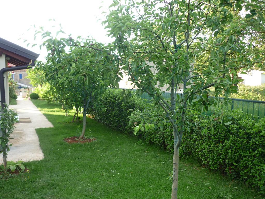 Apartmani Radin Rosini 外观 照片