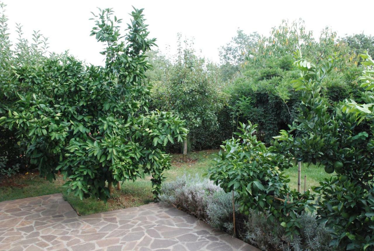 Apartmani Radin Rosini 外观 照片